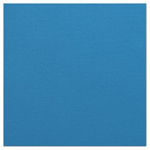 Dame Bleue