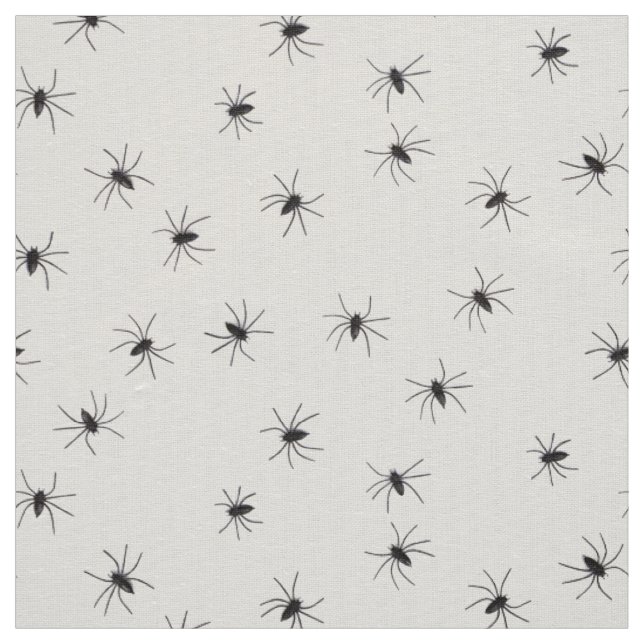 tissu d'araignées (Échantillon)