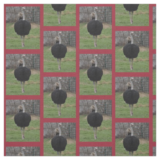 Tissu d'autruche (Échantillon)