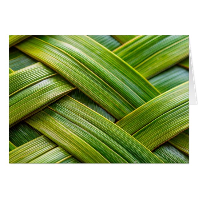 Tissu de bambou vert frais (Devant horizontal)