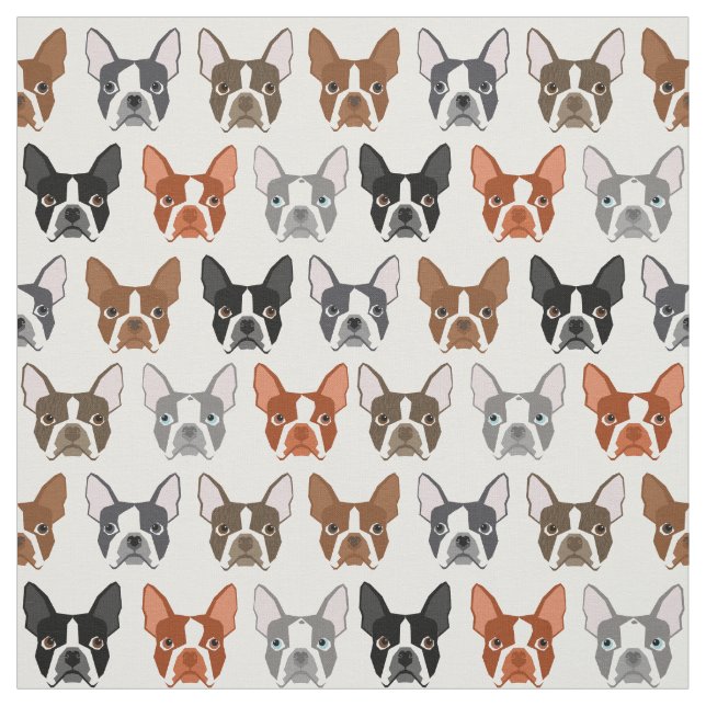 Tissu de Boston Terrier (Échantillon)