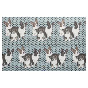 Tissu de Cardigan Welsh Corgi