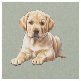 Tissu de chien Retriever Labrador jaune