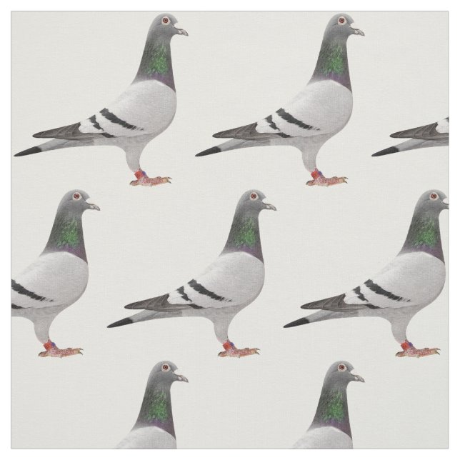 tissu de conception de pigeon (Échantillon)