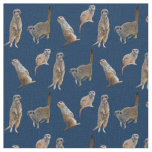 Tissu de frénésie de Meerkat (marine)