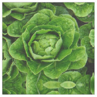 Tissu de photo de laitue de Romaine
