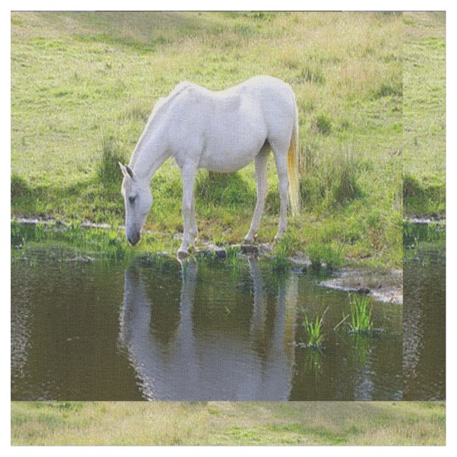 Tissu d'eau potable de cheval blanc (Fermer)