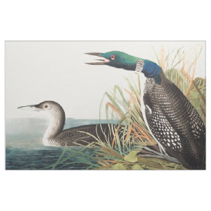 Tissu Dingues (plongeur du nord) par John James Audubon