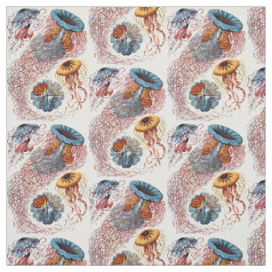 Tissu Discomedusae d'Ernst Haeckel
