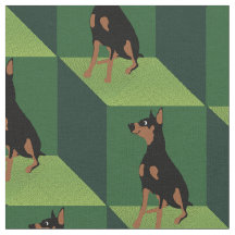 Doberman Pinscher sur les cubes verts