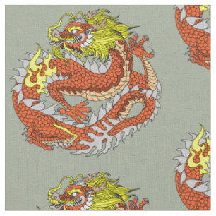 Tissu Dragon chinois