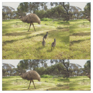 Tissu Emu Neighborhood Watch,