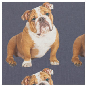 Tissu English Bulldog Dog pop art familier