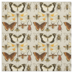 Tissu Entomologie Papillon Insectes Illustrations Vintag