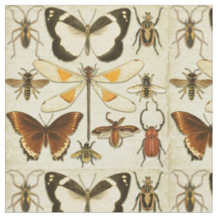 Tissu Entomologie Papillon Insectes Vintage Vieux papier