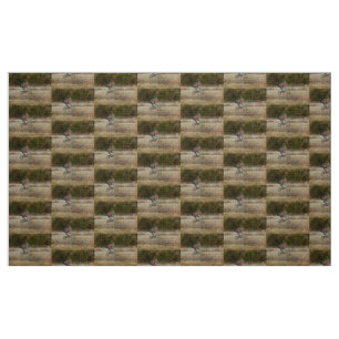 Tissu Équitation Vélo