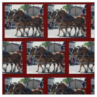 Évêque Mule Days 2018