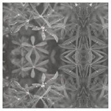 Feuilles à gouttes d'eau