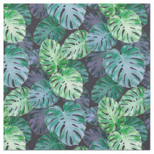 Feuilles de Monstera Tropical