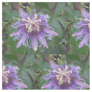 Tissu Fleur de passion