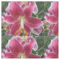 Fleur de pourpre d'astronome de lis