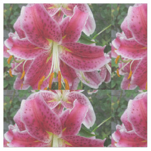 Tissu Fleur de pourpre d'astronome de lis