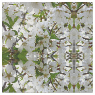 Tissu Fleurs blanches