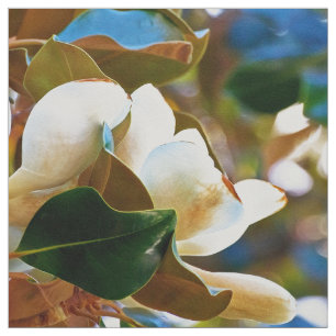 Tissu Fleurs blanches de magnolia