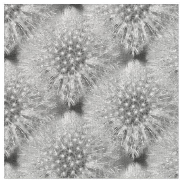 Tissu Fluffy White Dandelions Motif de la nature (Fermer)