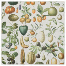 Fruits de Millot Adolphe