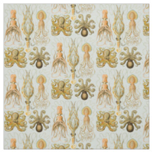 Tissu Gamochonia d'Ernst Haeckel