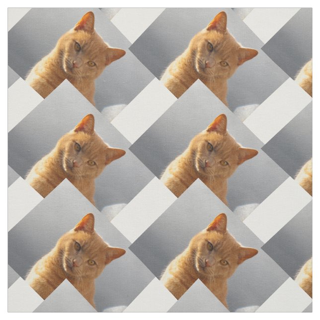 Tissu Ginger cat Merlin (Échantillon)
