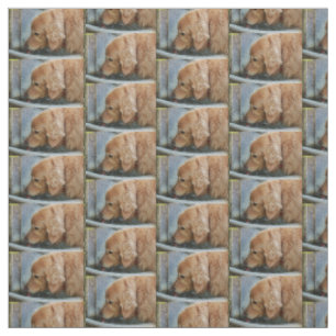 Tissu golden retriever buvant d'un dos de fontaine