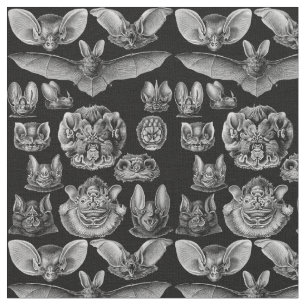 Tissu Haeckel Chiroptera 1904