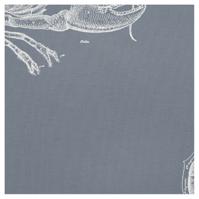 Tissu Homard (Fermer)