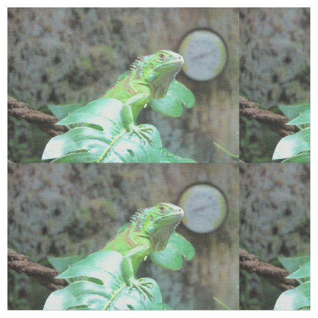 Tissu iguane vert (Fermer)