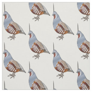 Tissu Illustration d'oiseau de caille de montagne