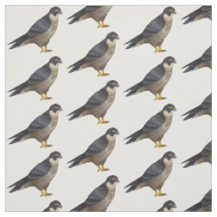 Tissu Illustration d'oiseau de faucon pèlerin