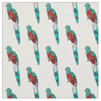 Illustration d'oiseau de quetzal resplendissant