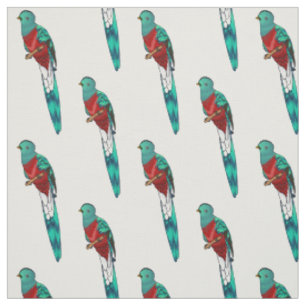 Tissu Illustration d'oiseau de quetzal resplendissant