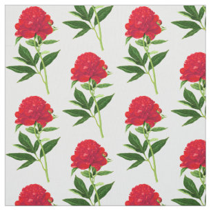 Tissu Impression Botanique vintage, Peine Rouge Profonde