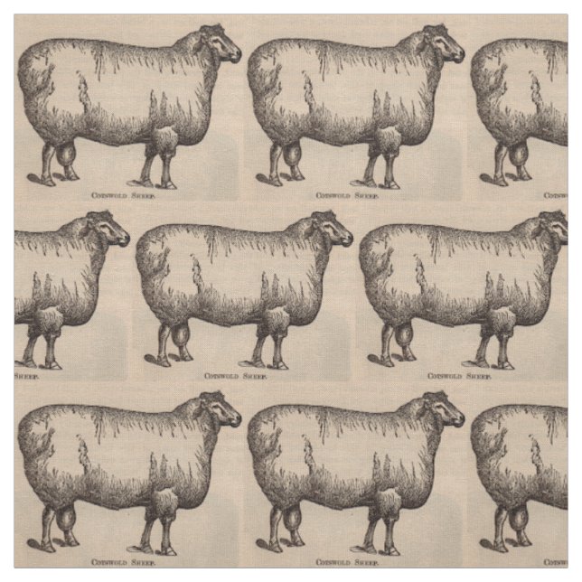Tissu Impression du 19e siècle Impression de mouton Cots (Échantillon)