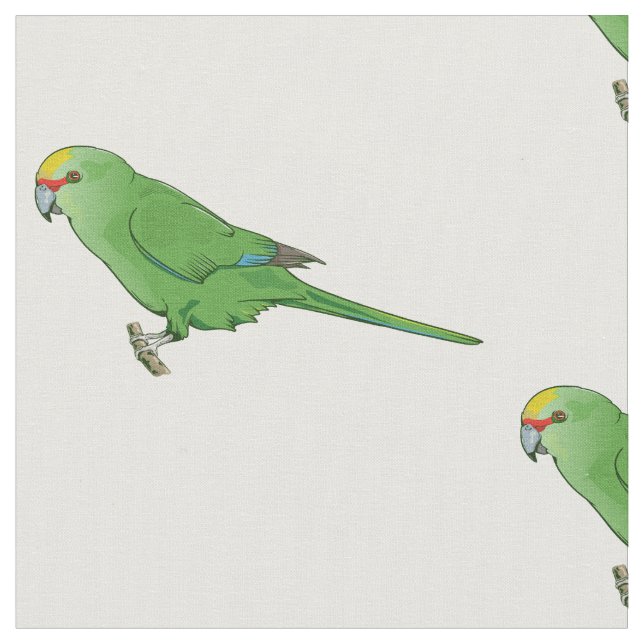 Tissu Kakariki à couronne jaune (Fermer)