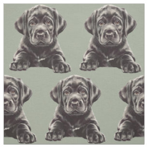 Tissu Labrador Retriever noir