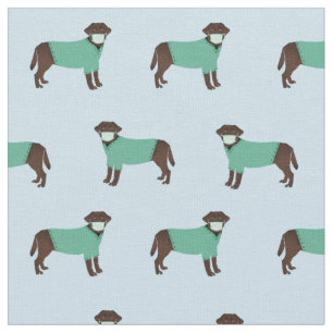 Tissu Le labrador au chocolat à Scrubs bleu clair