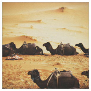 Tissu Le Sahara orienté, ligne des chameaux en sable