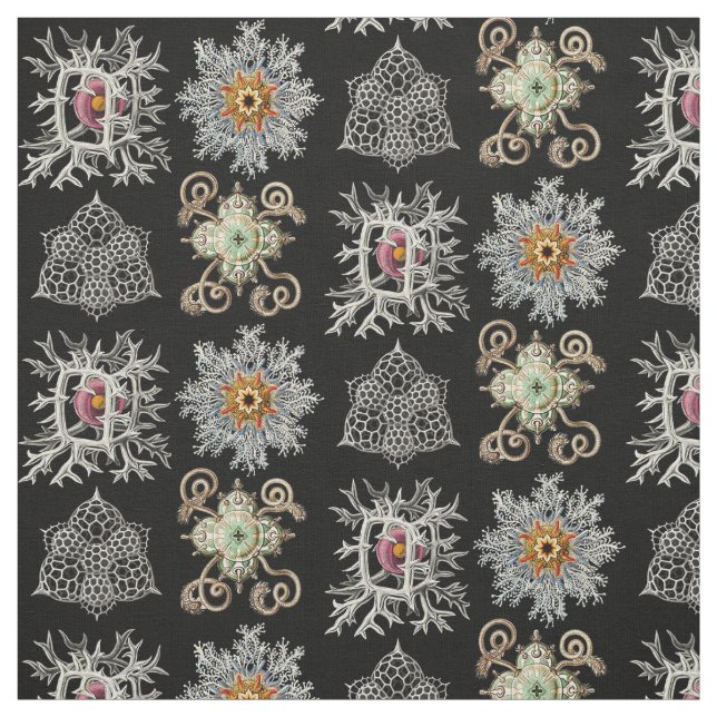 Tissu Les formes sophistiquées de la nature (Échantillon)