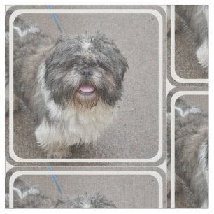 Tissu Lhasa mignonne Apso