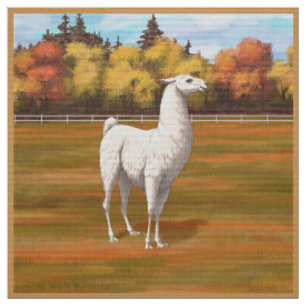 Tissu Llama blanche dans les pâturages agricoles d'autom