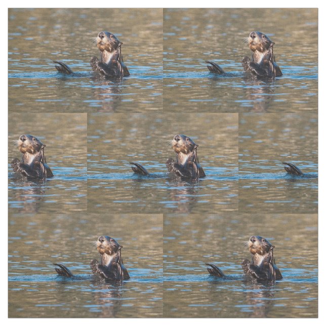Tissu Loutre de mer ensoleillée (Échantillon)